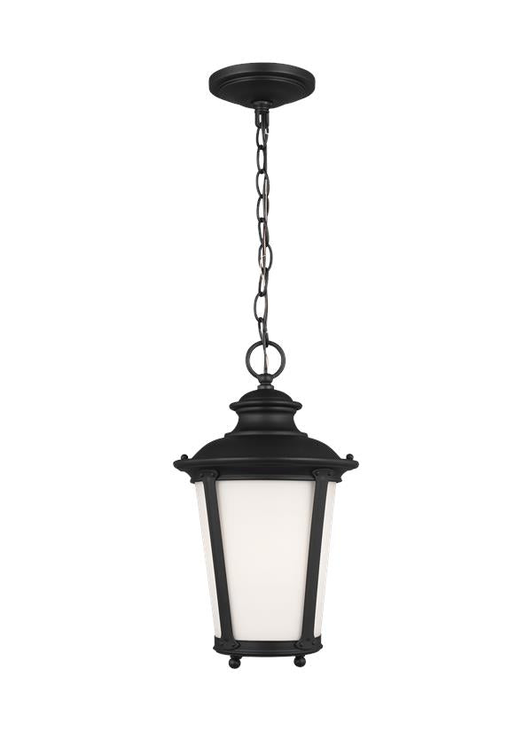 Cape May Collection - One Light Outdoor Pendant | Finish: Black - 62240-12