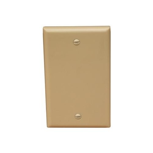 Lexan Wall Plates 1 Gang Blank