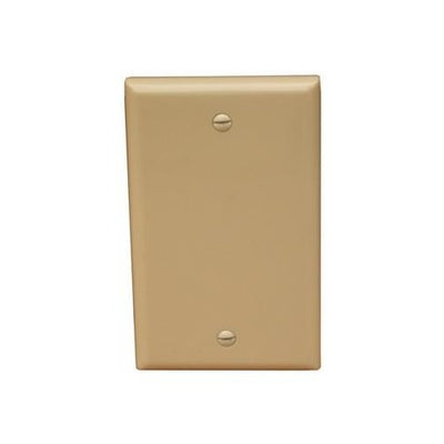 Lexan Wall Plates 1 Gang Blank