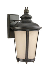 88241EN3-780, One Light Outdoor Wall Lantern , Cape May Collection