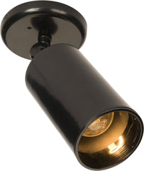 1-Light Can Wall/Flush Mount