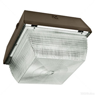 LED Canopy Light, 28W, 120-277V