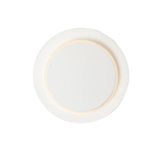Revolver LED Flush Mount / Wall Sconce