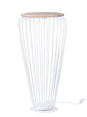 Cage Floor Lamp