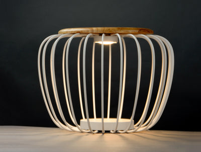  Cage Floor Lamp E20577-WTNW 