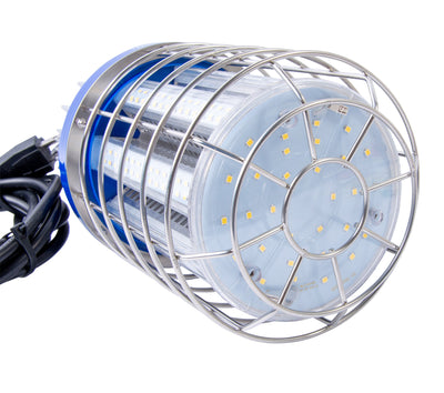 Bergen Industries K5100 High Bay Temp Light 100w LED, IP65, 13,000lm, 5000k