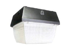 LED Canopy Light, 35 Watt, 120-277V