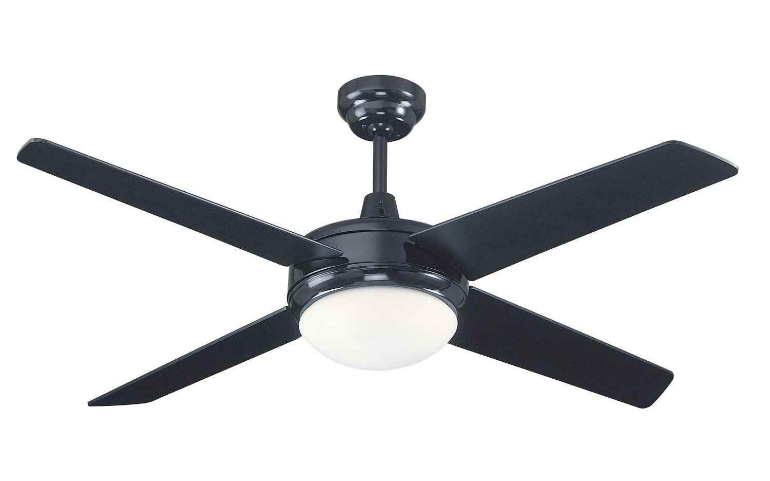 Europa (Black) WS-111452