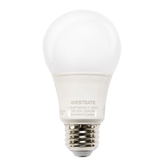 A19 LED Lamps (40 Pack), 100-120V, 9W, 850LM, 3000K, 4000K, or 5000K
